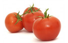 Tomates conserves