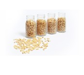 PINE NUTS CHINA 1KG MARCOR