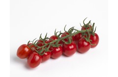 TOMATES GRAPPE MINISTAR - KG LYCO
