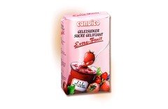 SUCRE CANDICO GELIFIANT EXTRA FRUIT 500GR