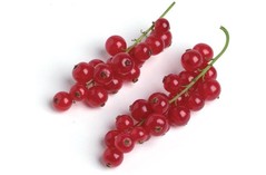 RED CURRANTS 125G FRESH