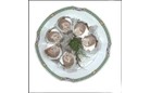 25PC OYSTERS ZEALAND 4/0 FLAT