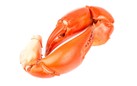 KING CRAB PAWS 1KG FRZ (COOKED)
