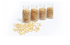 PINE NUTS CHINA 1KG MARCOR