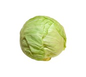 WHITE CABBAGE EXTRA FRESH - PC L