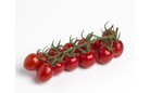TOMATES GRAPPE MINISTAR - KG LYCO