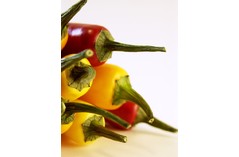 MIXED PEPPERS PACK 100G